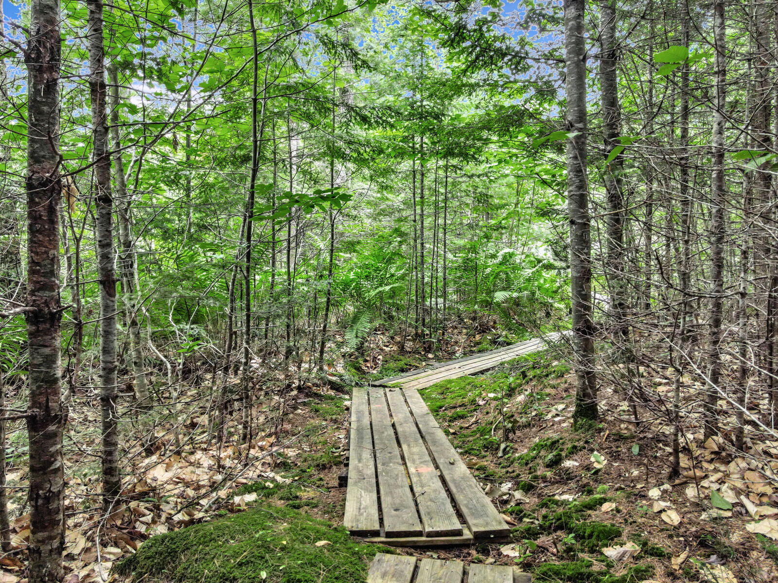 102 Chester Thwing Road Belgrade, ME 04917 - Photo 148 of 163 21_DJI_0976_DxO_mls