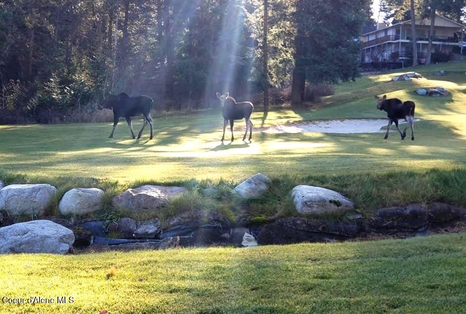107 Par Loop Blanchard, ID 83804 - Photo 24 of 27 3Moose