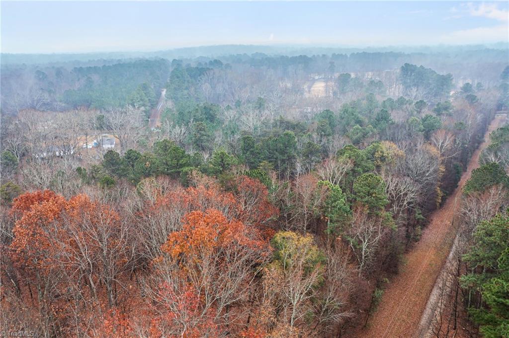 4919 Mt Willing Road Mebane, NC 27302 - Photo 12 of 17