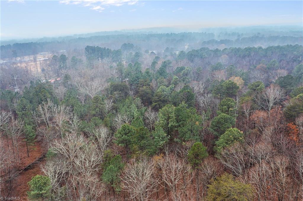 4919 Mt Willing Road Mebane, NC 27302 - Photo 13 of 17