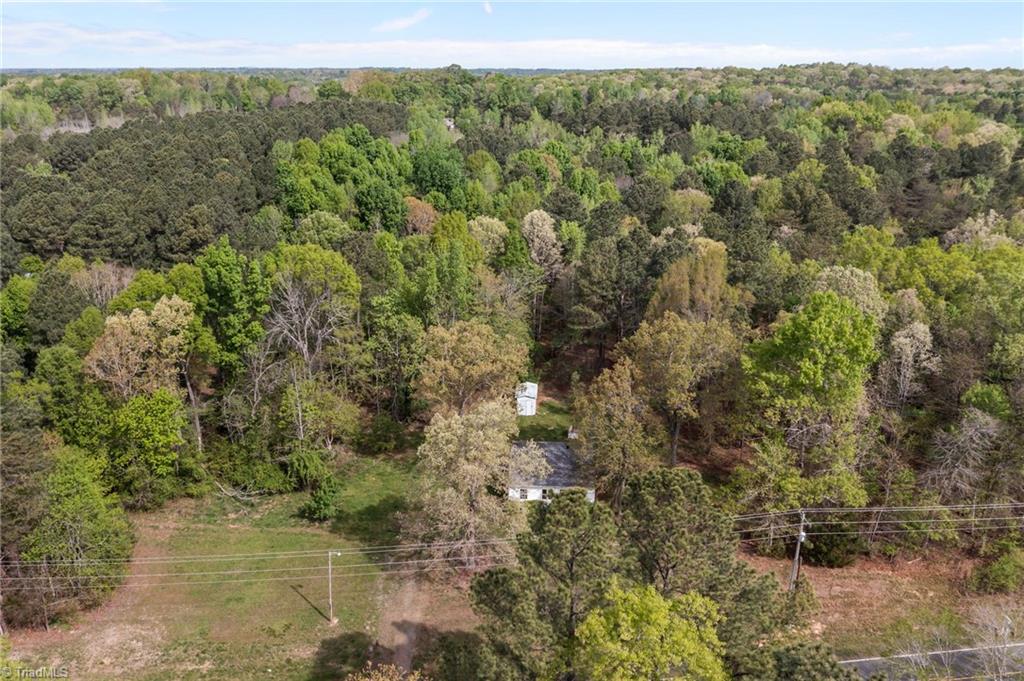 4919 Mt Willing Road Mebane, NC 27302 - Photo 5 of 37