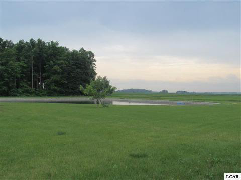 5473 Engle Road Palmyra, MI 49268 - Photo 11 of 14 20359256-10.JPG
