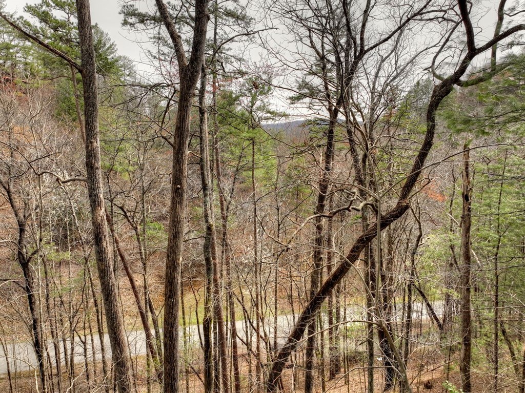 308 Lakota Trail Blue Ridge, GA 30513 - Photo 9 of 10 Gallery Image 9