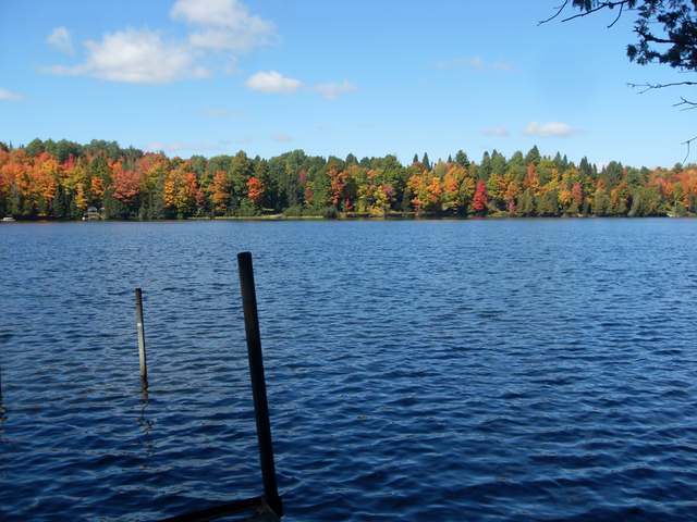 6097 Beatons Lake Road Watersmeet, MI 49969 - Photo 9 of 20 Gallery Image 9
