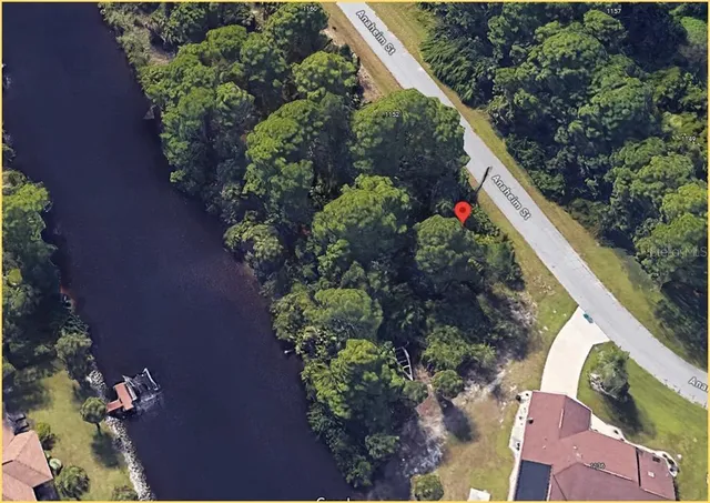 a view of a garden with plants