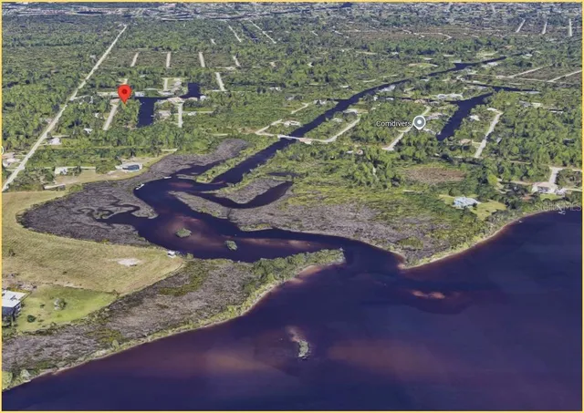 a view of a park with large trees