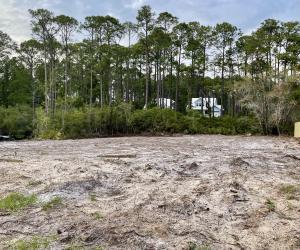 Lot11-blkc Oak Hill Lane Santa Rosa Beach, FL 32459 - Photo 2 of 2 a view of a yard with plants and trees