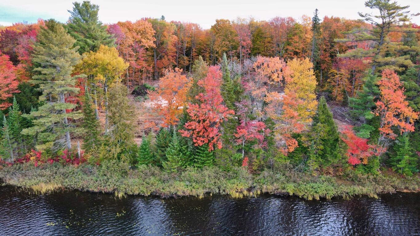 2029 Carpenter Lake Road Seney, MI 49883 - Photo 19 of 35 Gallery Image 19