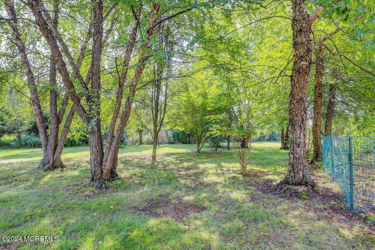 51 Yates Road Manalapan, NJ 07726 - Photo 32 of 45 35-Back Space