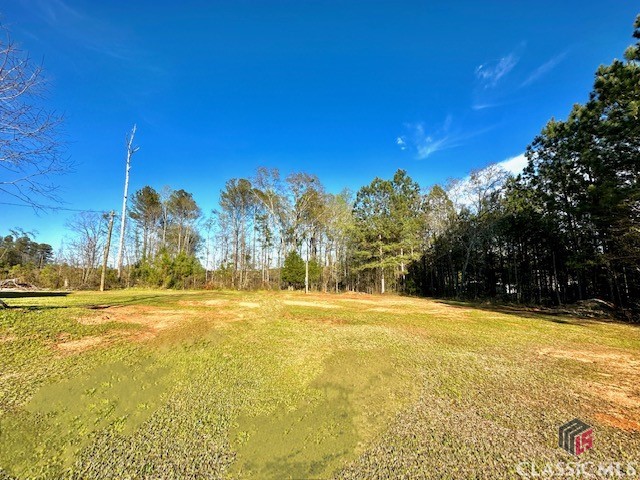 1 Dora Bush Hill Road McRae-Helena, GA 31037 - Photo 17 of 32