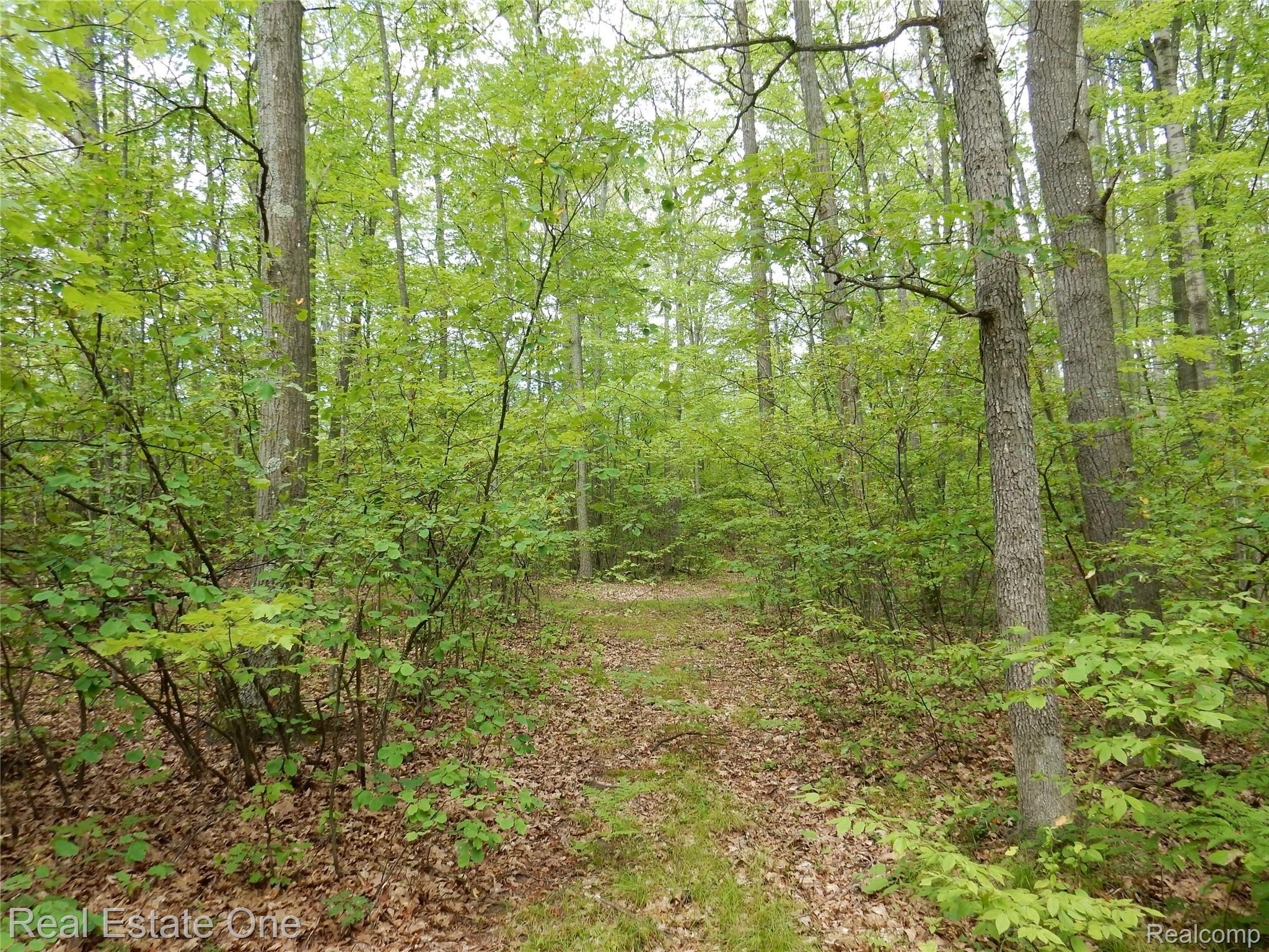 2467 East Monroe Road Harrison, MI 48625 - Photo 21 of 32 DSCN2455.JPG