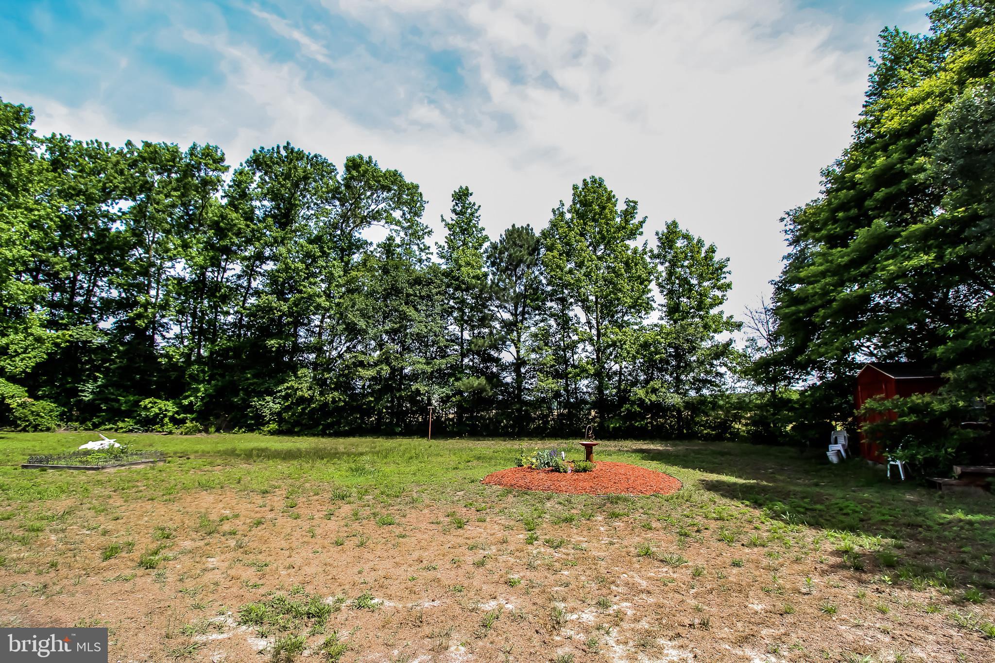 8753 New Hope Road Willards, MD 21874 - Photo 21 of 21