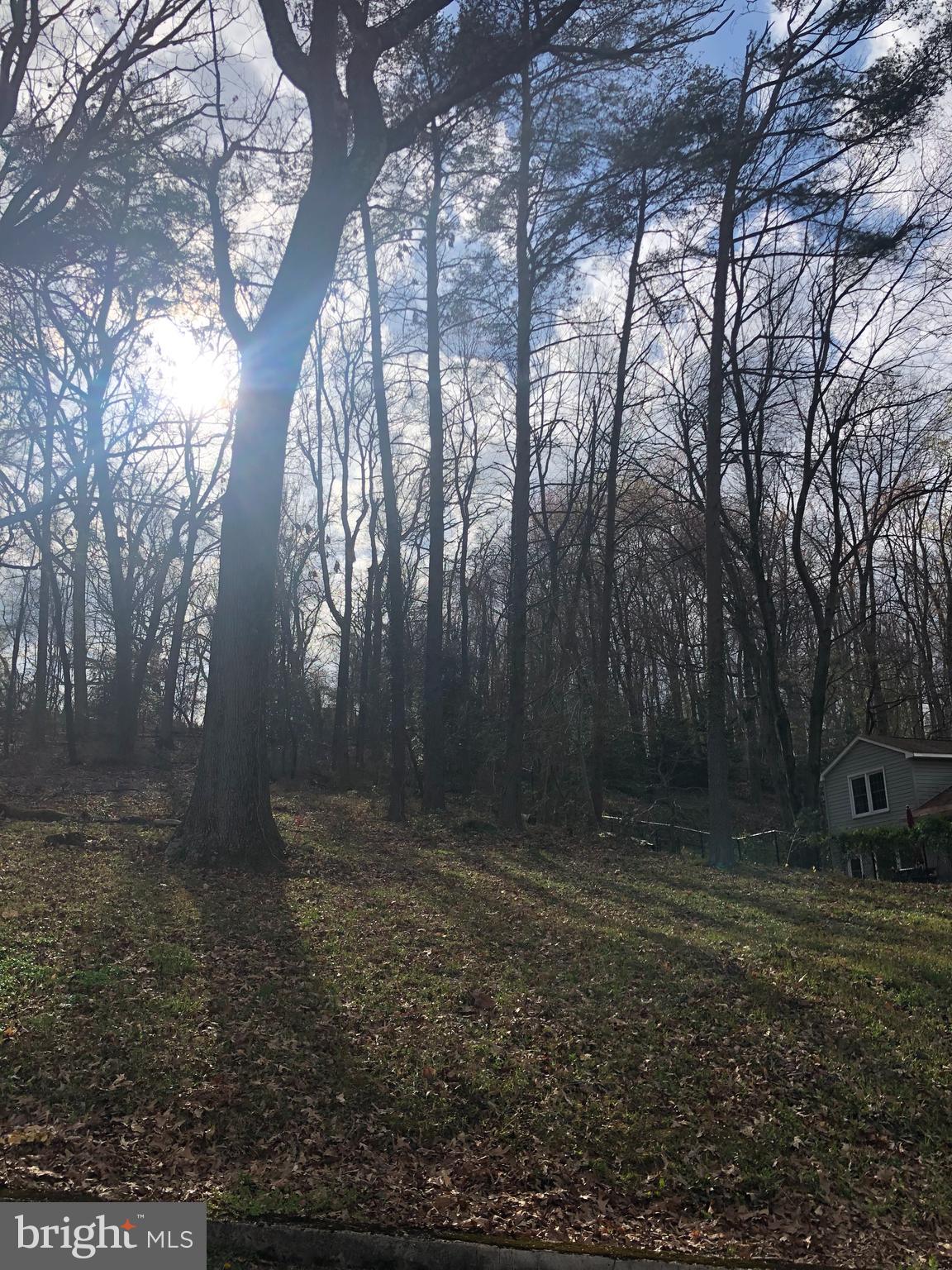 Hanover Road Hanover, MD 21076 - Photo 10 of 12
