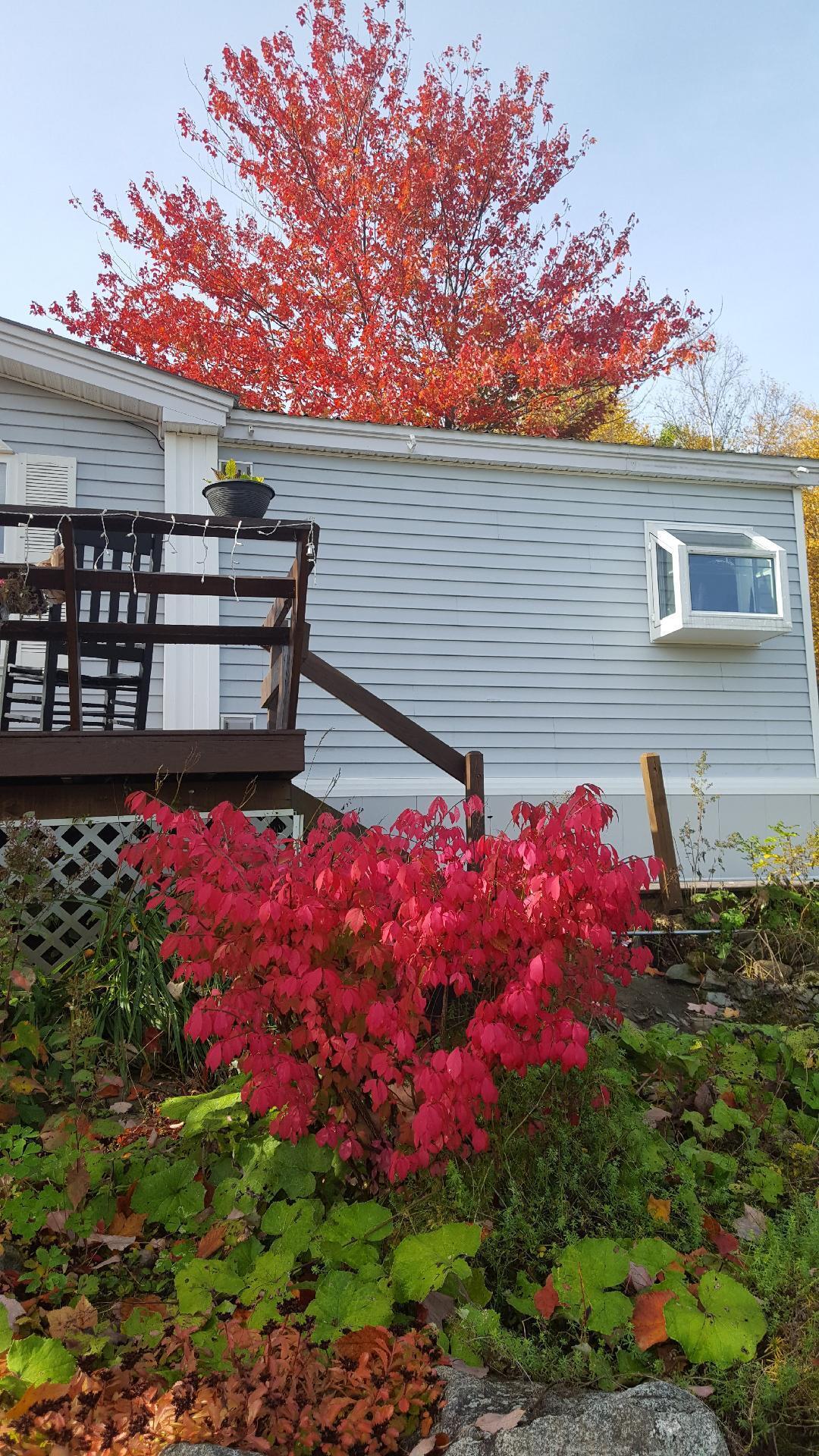 465 Parsons Road Presque Isle, ME 04769 - Photo 12 of 39 465 22