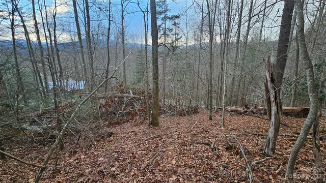 $34,000 | Lot 13 Seay Mountain Road, Waynesville, NC 28785