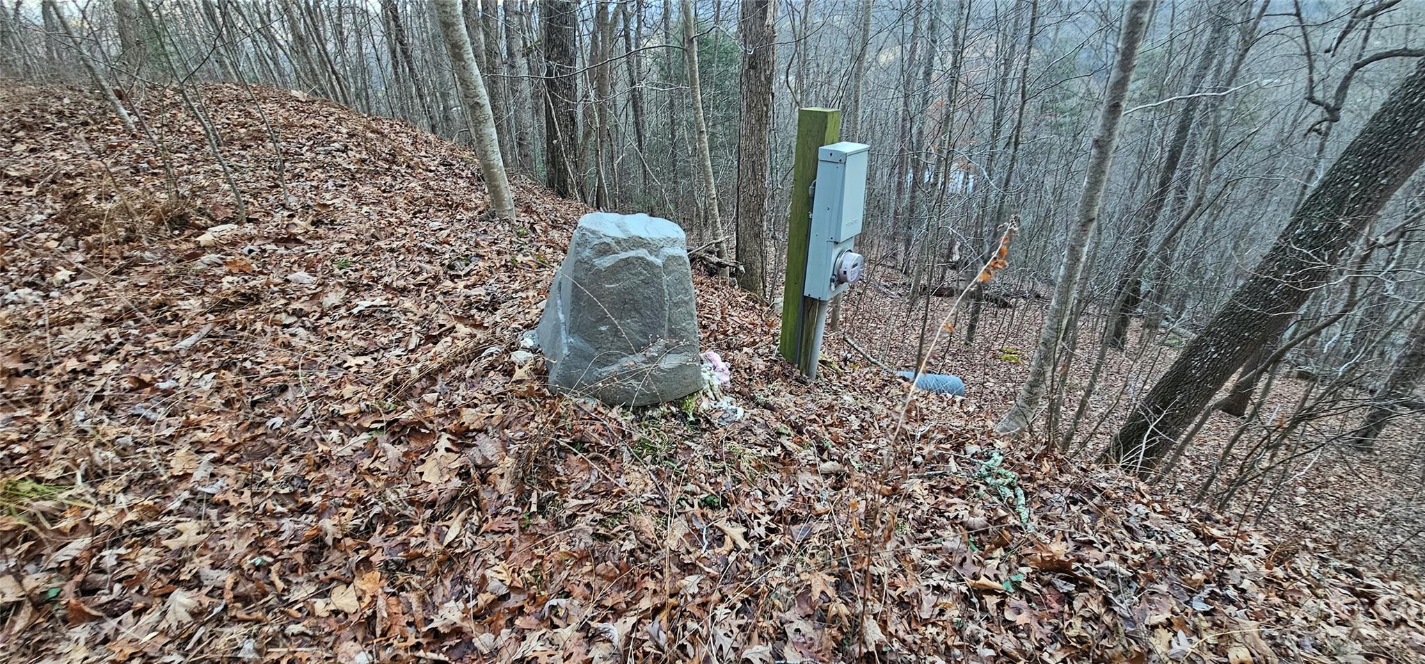 Lot 13 Seay Mountain Road Waynesville, NC 28785 - Photo 17 of 35