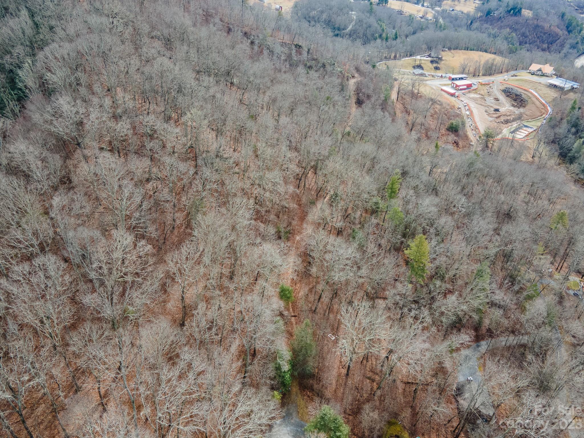 Lot 13 Seay Mountain Road Waynesville, NC 28785 - Photo 23 of 35