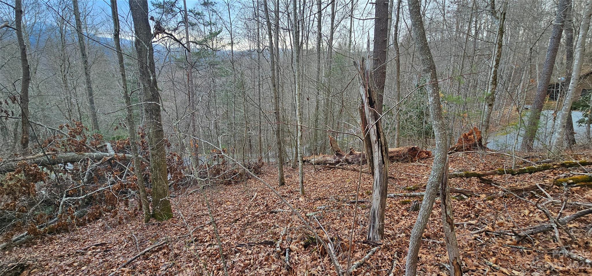 Lot 13 Seay Mountain Road Waynesville, NC 28785 - Photo 5 of 35