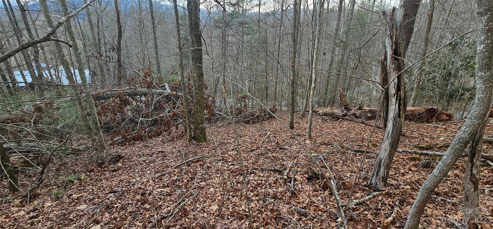 Lot 13 Seay Mountain Road Waynesville, NC 28785 - Photo 6 of 35
