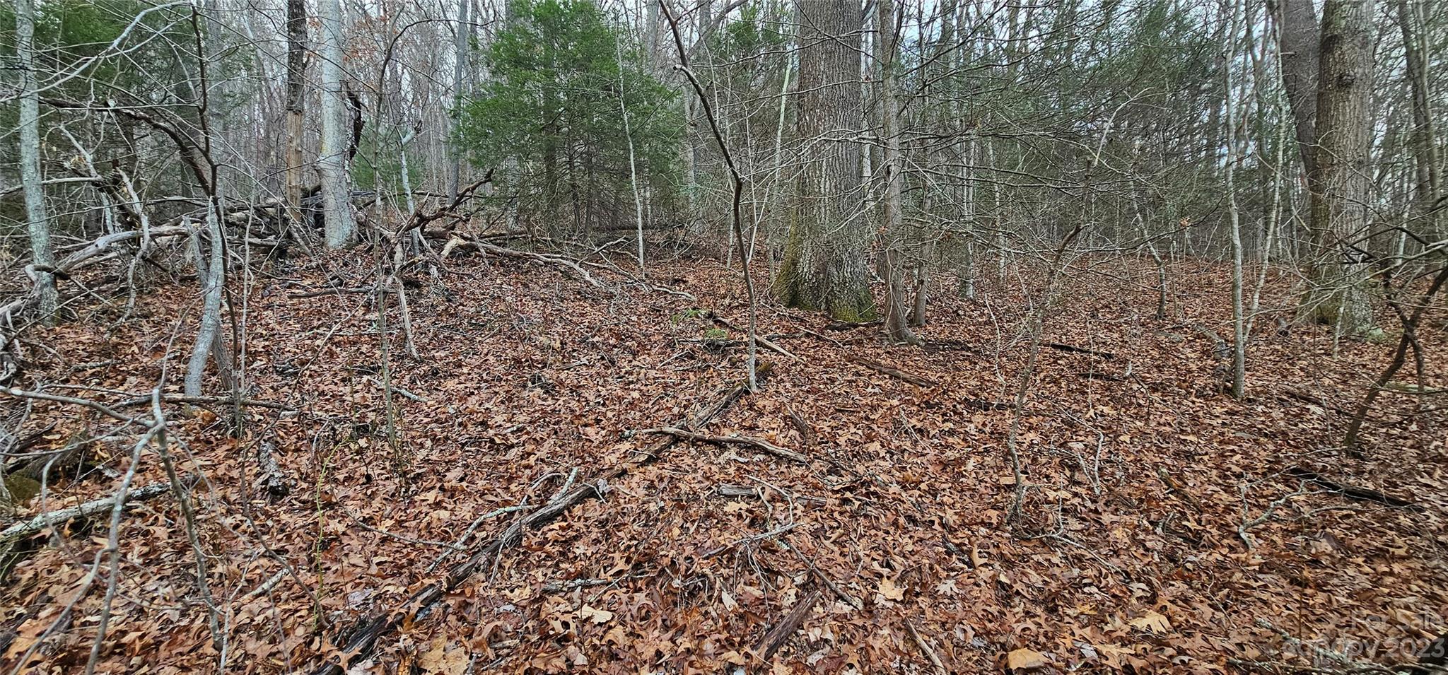 Lot 13 Seay Mountain Road Waynesville, NC 28785 - Photo 7 of 35