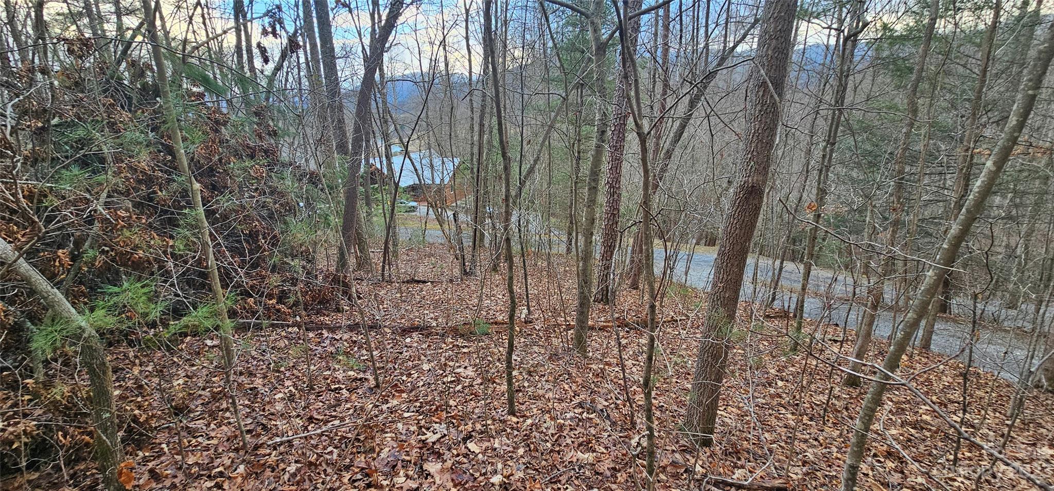 Lot 13 Seay Mountain Road Waynesville, NC 28785 - Photo 8 of 35