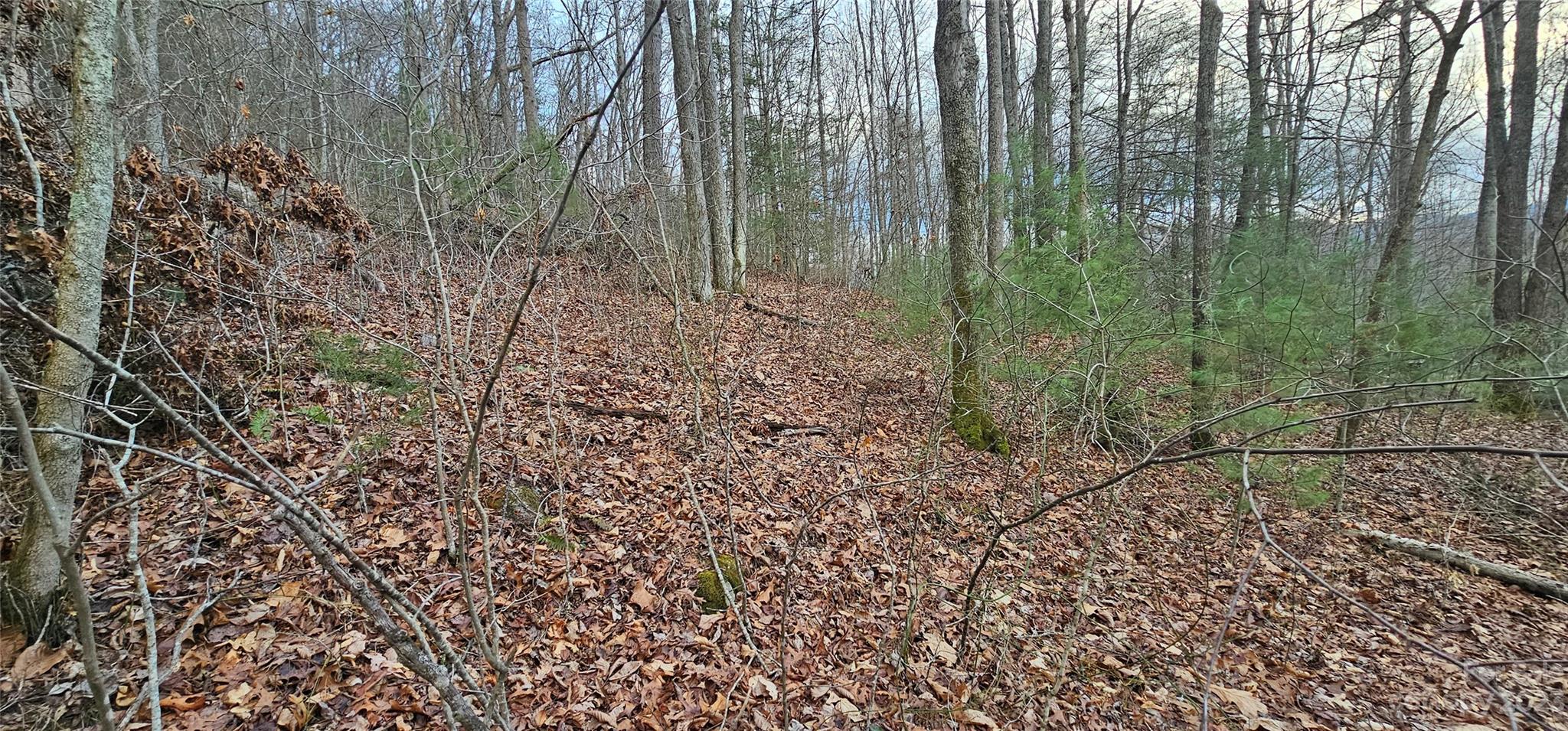 Lot 13 Seay Mountain Road Waynesville, NC 28785 - Photo 10 of 35