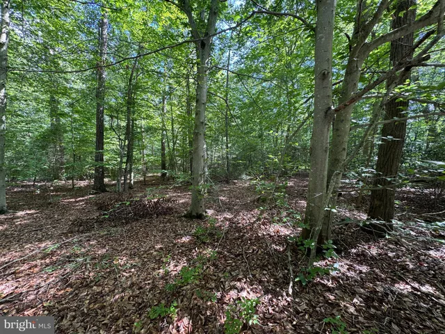 $200,000 | Kiskadee Lane, Leonardtown, MD 20650
