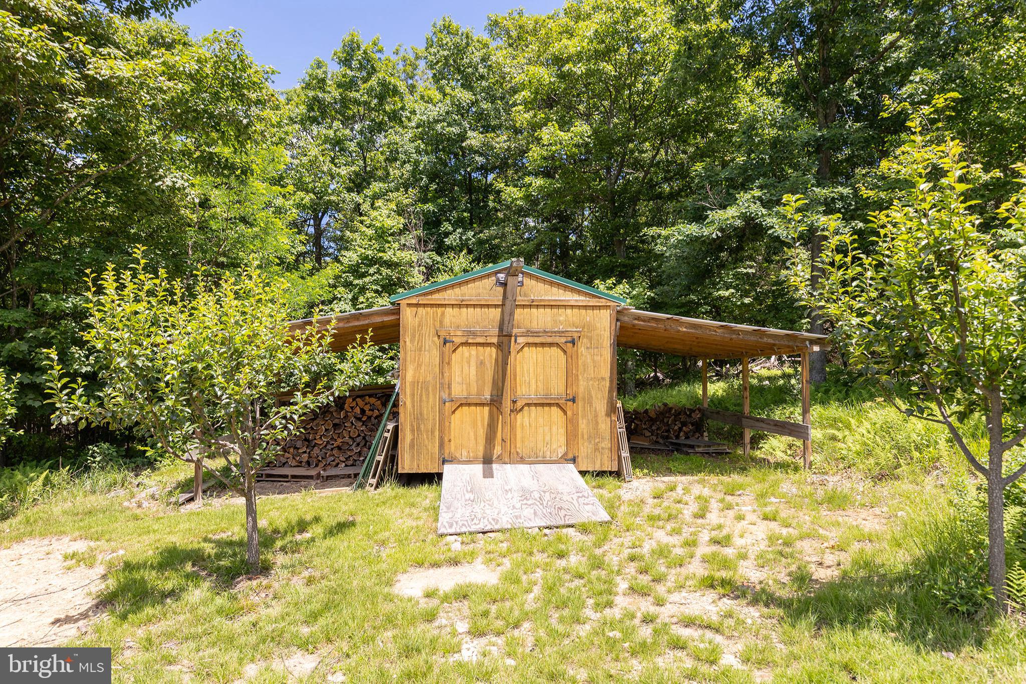 5982 South Branch Mountain Road Moorefield, WV 26836 - Photo 68 of 141