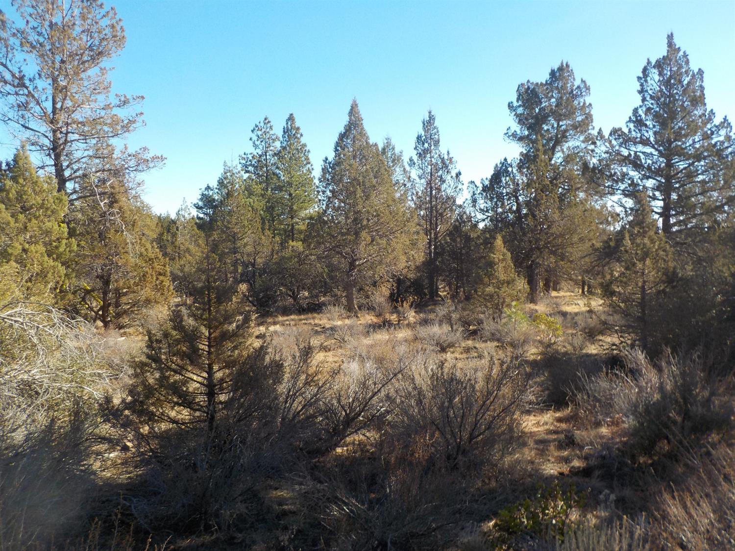 113 Oregon Pines Road Sprague River, OR 97639 - Photo 2 of 2 Additional Photo
