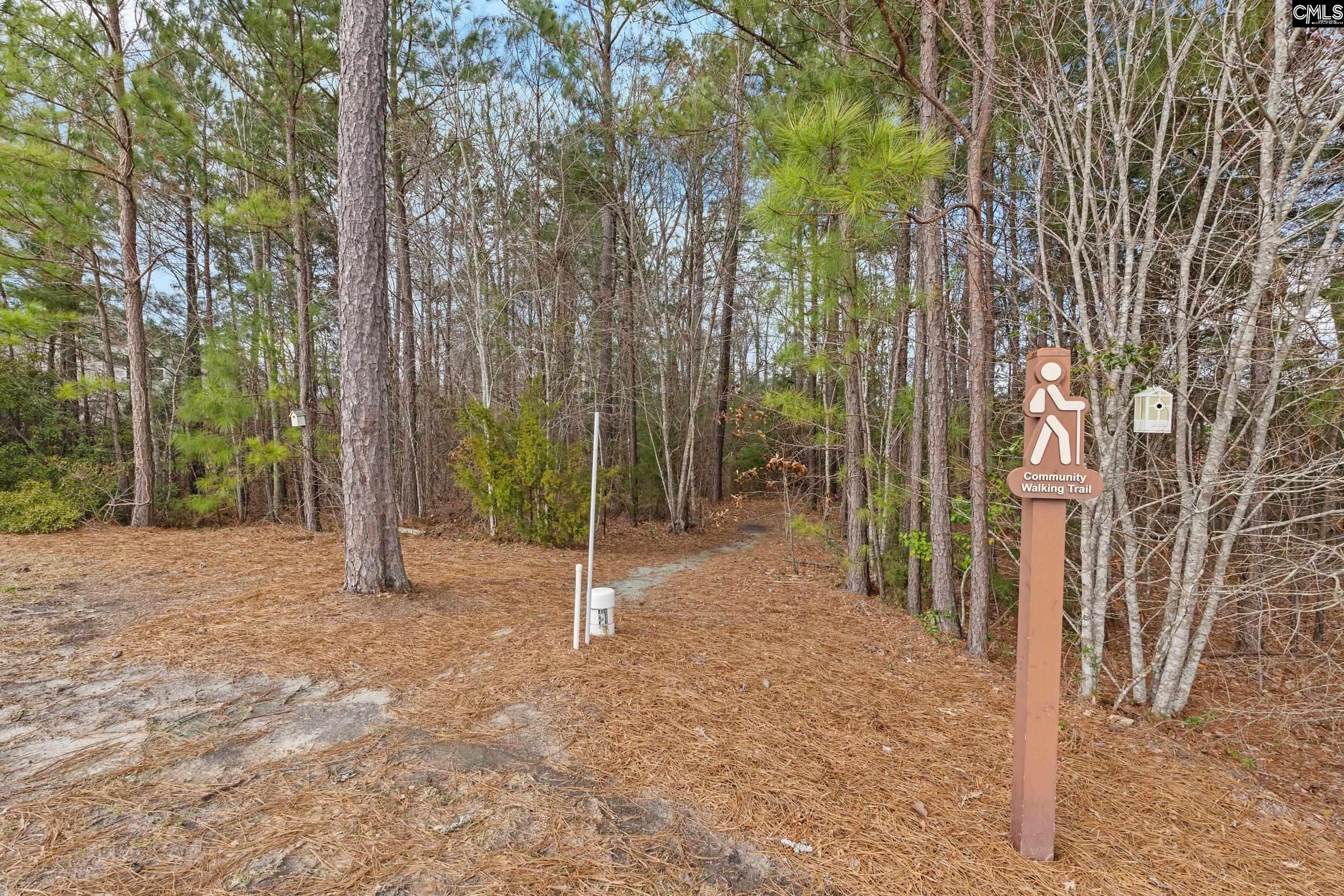 814 Dutchmaster Drive Chapin, SC 29036 - Photo 29 of 29