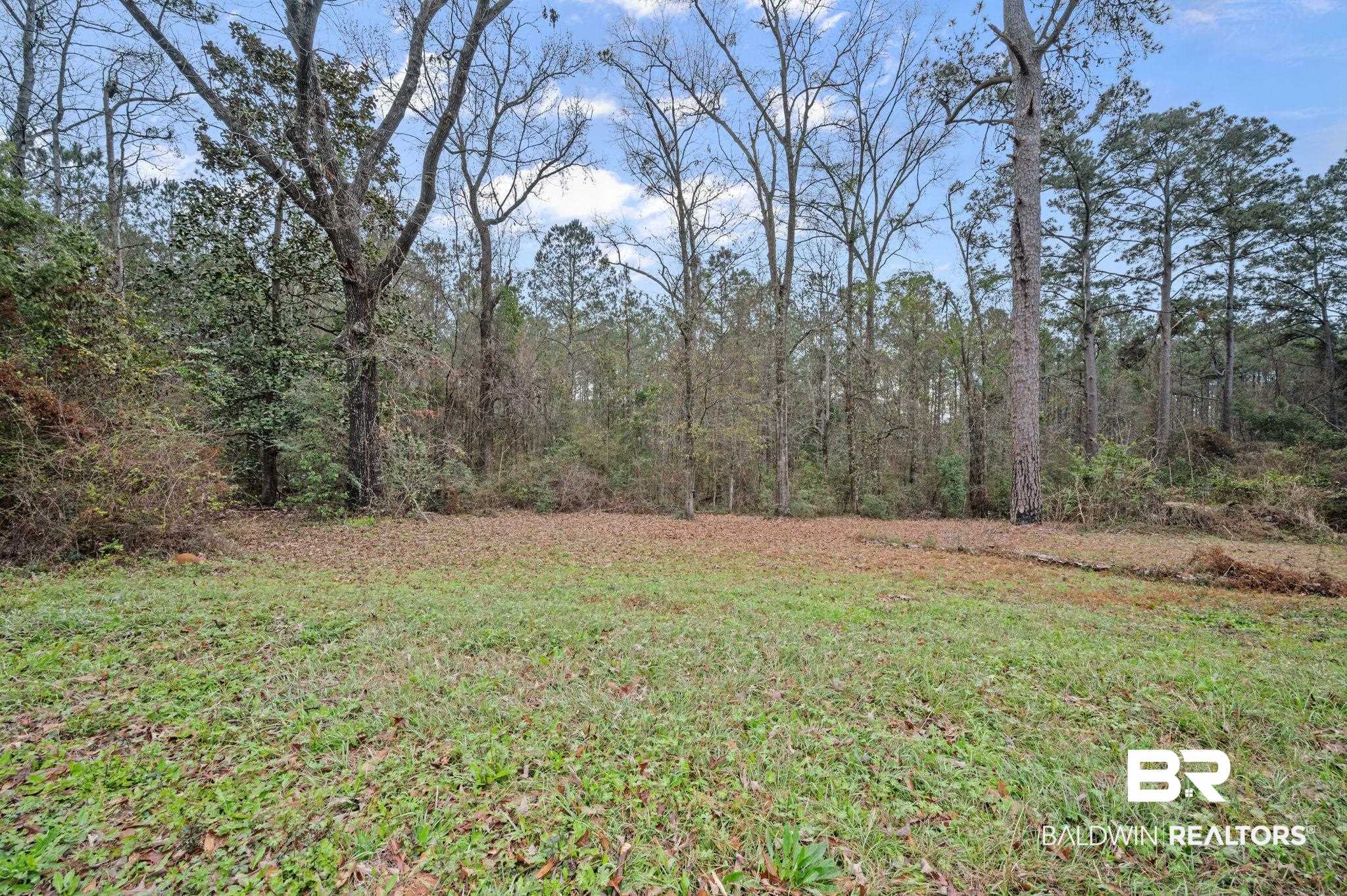 39908 T A Chastang Road Bay Minette, AL 36507 - Photo 20 of 20 View of yard with a view of trees