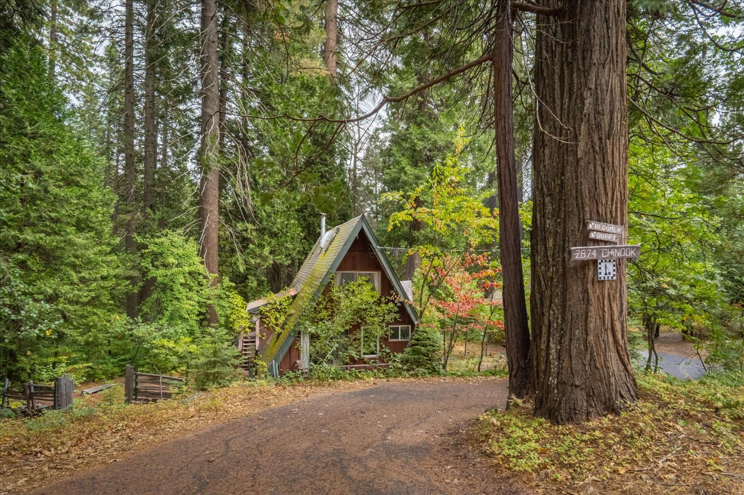 a view of outdoor space and yard