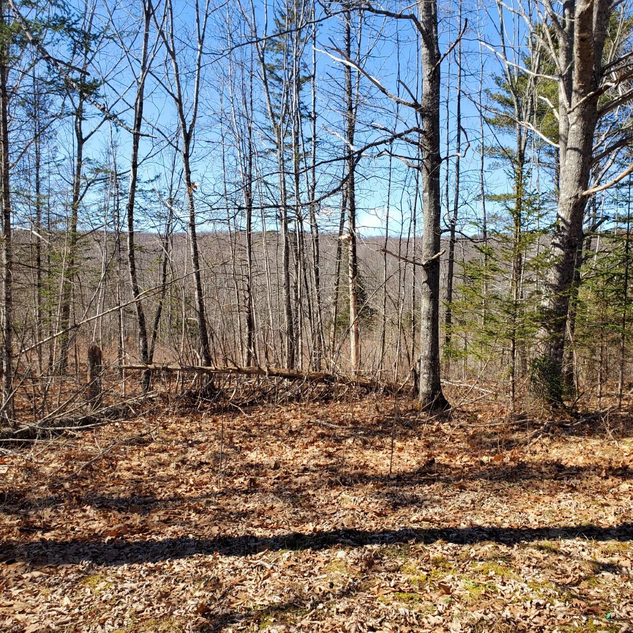 0 Monroe Road Winterport, ME 04496 - Photo 3 of 3 thumbnail_20220323_133537