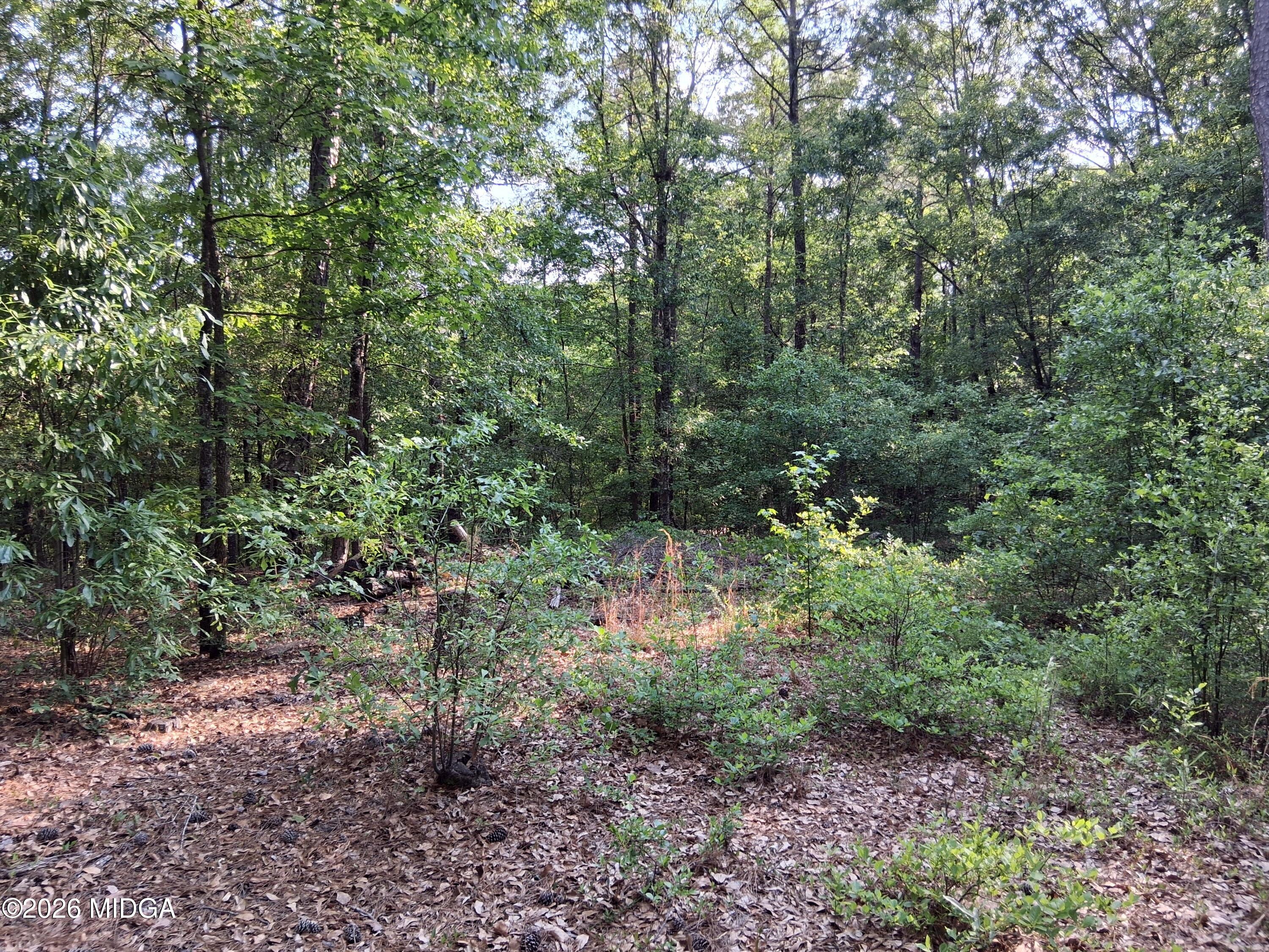 6361 Britt Road Macon, GA 31216 - Photo 9 of 9 1000015368