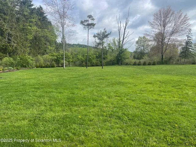 a view of a field with a tree