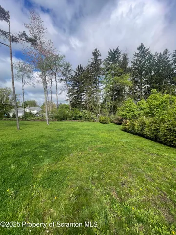 a view of a field with a tree in the background