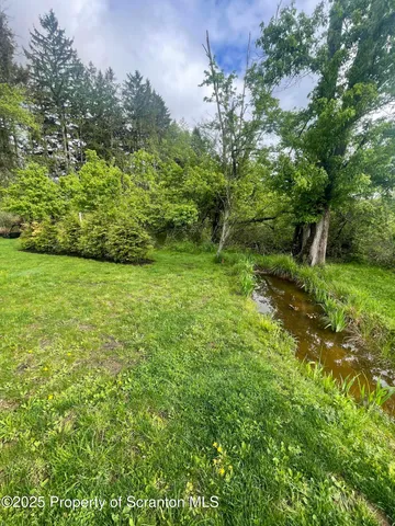 a view of a green field with lots of bushes