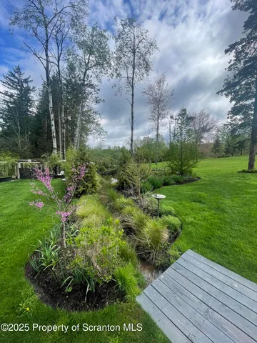 a view of a backyard with plants and large trees