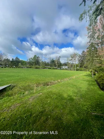 a view of a big yard with lots of green space