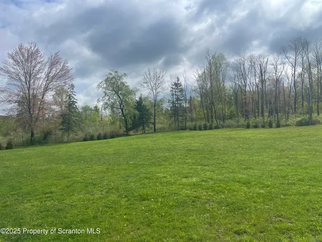 a view of a field with trees in the background