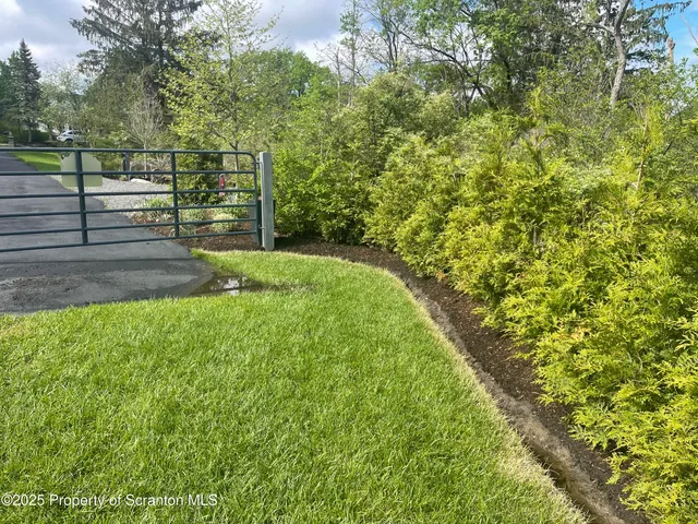 a view of yard with green space