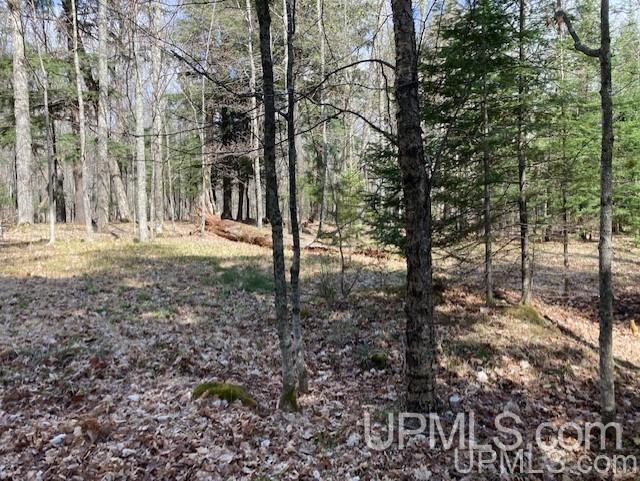 Lot 1 Wizard Road Watersmeet, MI 49969 - Photo 21 of 26 Gallery Image 21