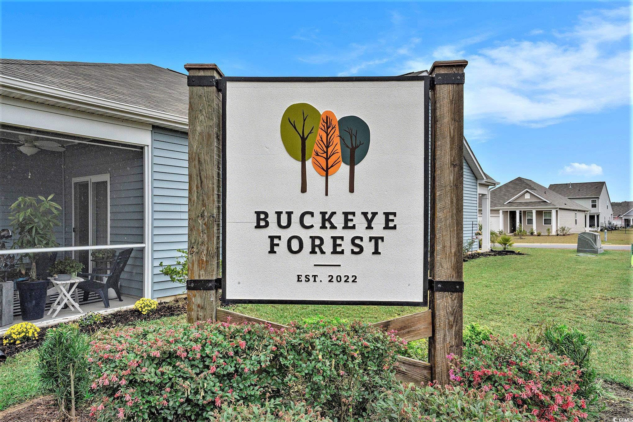 132 Columbus Street Conway, SC 29526 - Photo 35 of 39 Rear view of house with a sunroom, a patio area, and a shingled roof