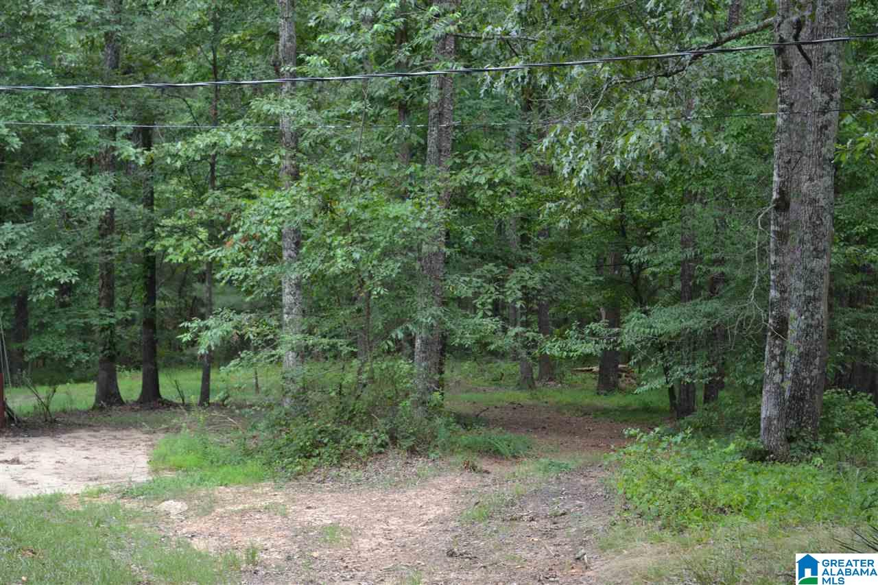 100 Thompson Drive Chelsea, AL 35043 - Photo 4 of 25