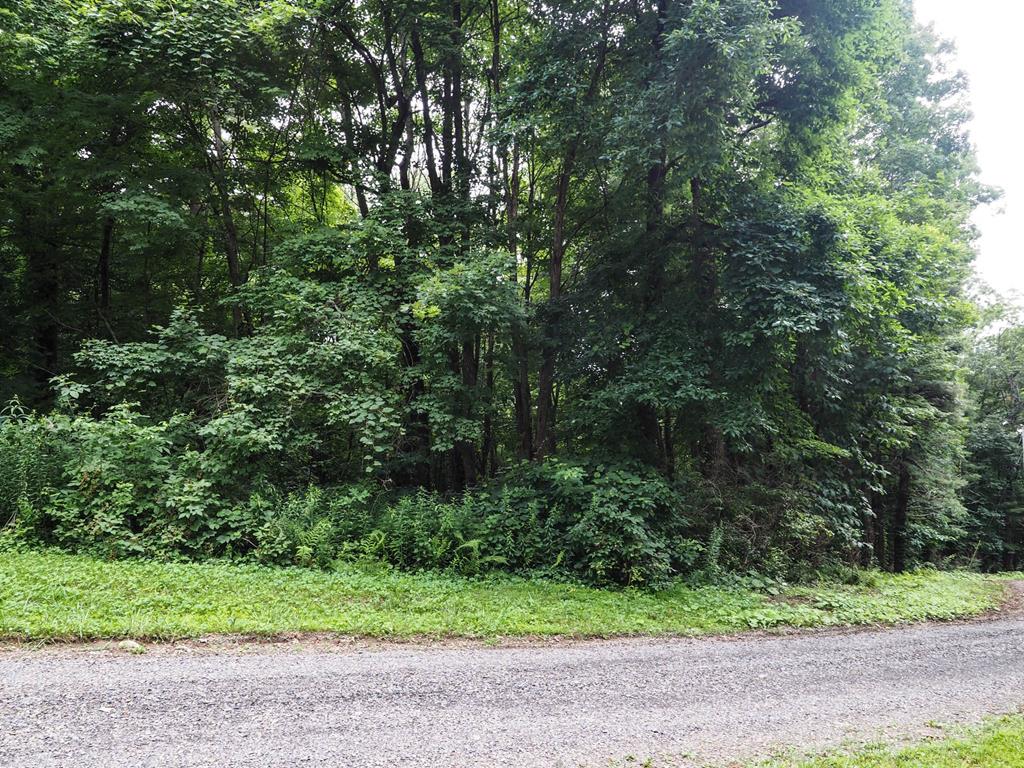 Tbd Carrollview Road, Unit 11 Fancy Gap, VA 24328 - Photo 1 of 4 Gallery Image 1