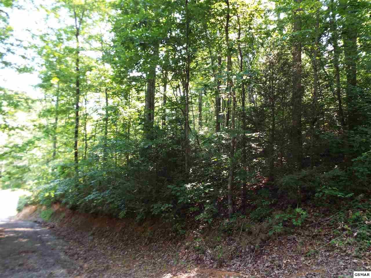 0 Greasy Cove Road Cosby, TN 37722 - Photo 3 of 26 Gallery Image 3