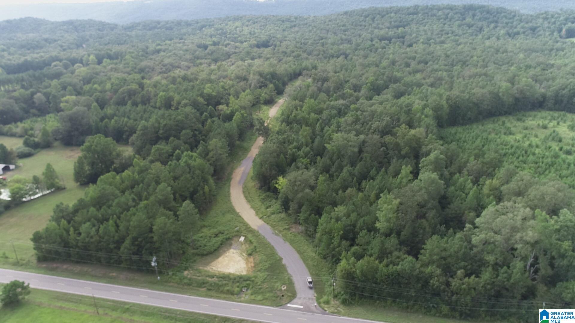 50 Scenic Valley Road, Unit TRACT 3 Springville, AL 35146 - Photo 1 of 10