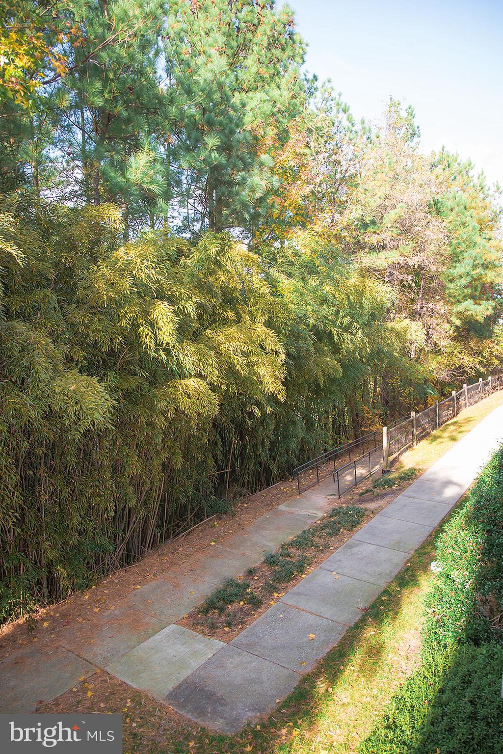 1622 Hardwick Court, Unit 202 Hanover, MD 21076 - Photo 25 of 25 a view of a backyard of the house