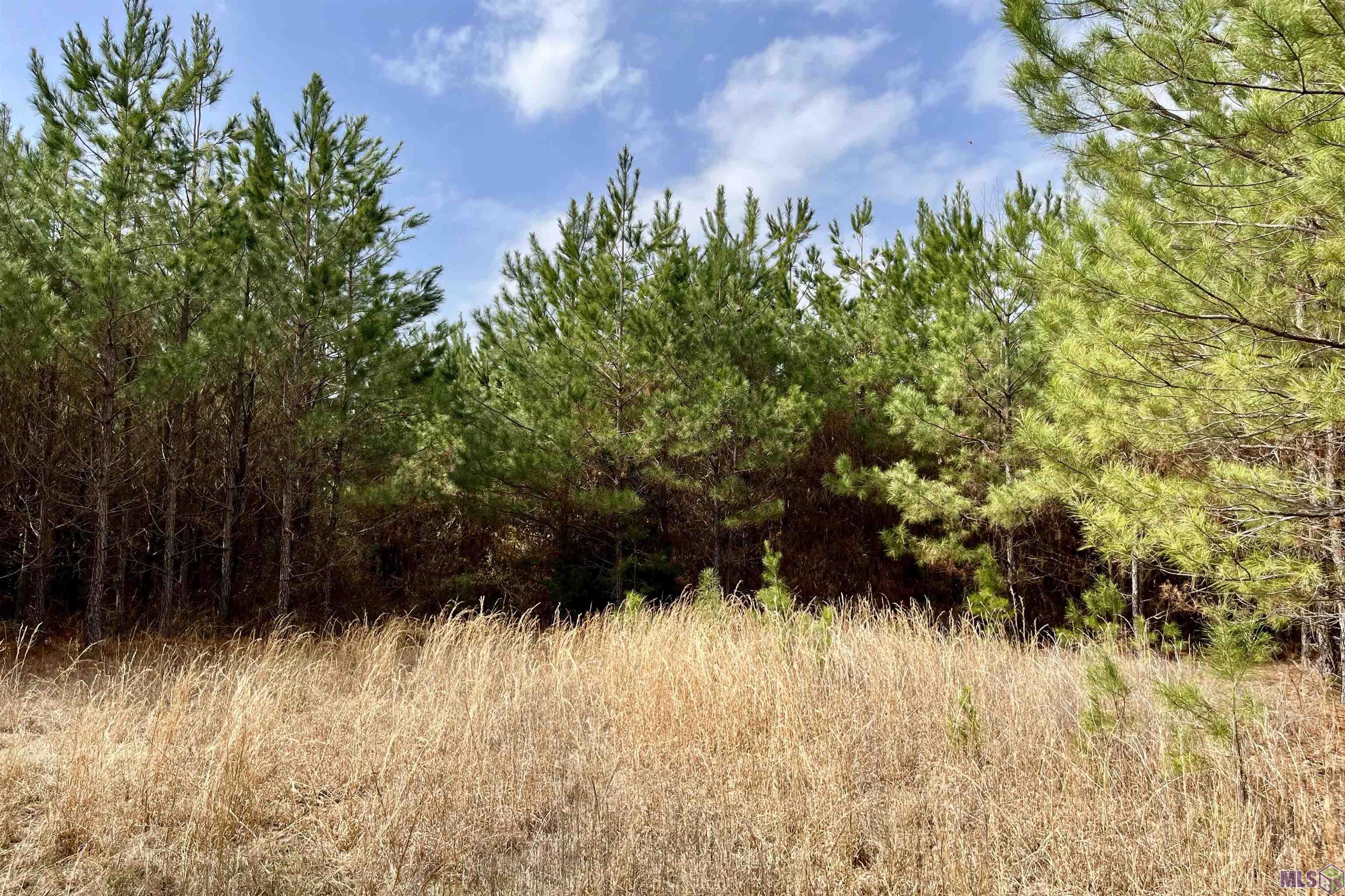 2 Arkansas Road Marion, LA 71260 - Photo 1 of 17