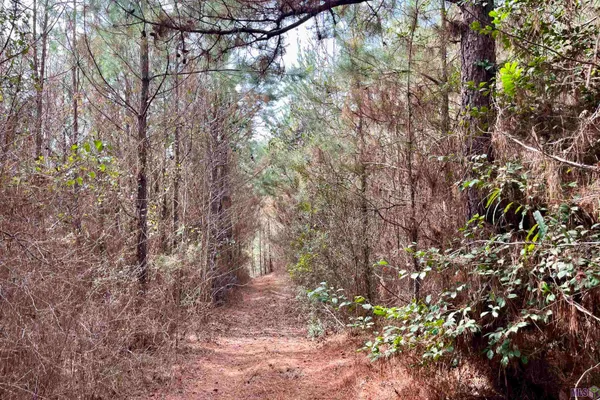 $249,900 | 2 Arkansas Road, Marion, LA 71260